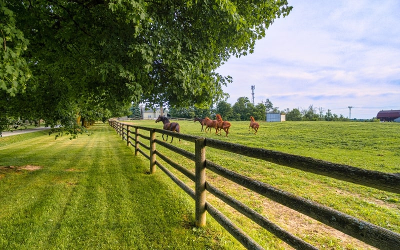 farm fence